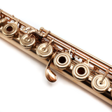 Brannen Custom #785 - 14K gold, inline G, C# trill key, B footjoint