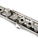 Brannen Custom #790 - Sterling silver, inline G, C# trill key, B footjoint, 9K gold Drelinger Headjoint with Platinum Air Reed