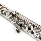 Brannen Custom #8086 - Sterling Silver, Offset G, C# Trill Key, B Footjoint, Heavy Wall, 15/85 Gold/Silver Alloy Lafin Headjoint with 14K Gold Riser and Wings