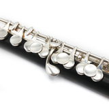 Brannen Piccolo #8510 - Grenadilla