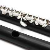 Brannen Piccolo #8812 - Grenadilla Wood