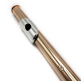 Brannen Headjoint #93028 - 9K gold, sterling silver lip plate and riser, 14K gold Haynes crown