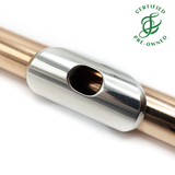 Brannen Headjoint #93028 - 9K gold, sterling silver lip plate and riser, 14K gold Haynes crown