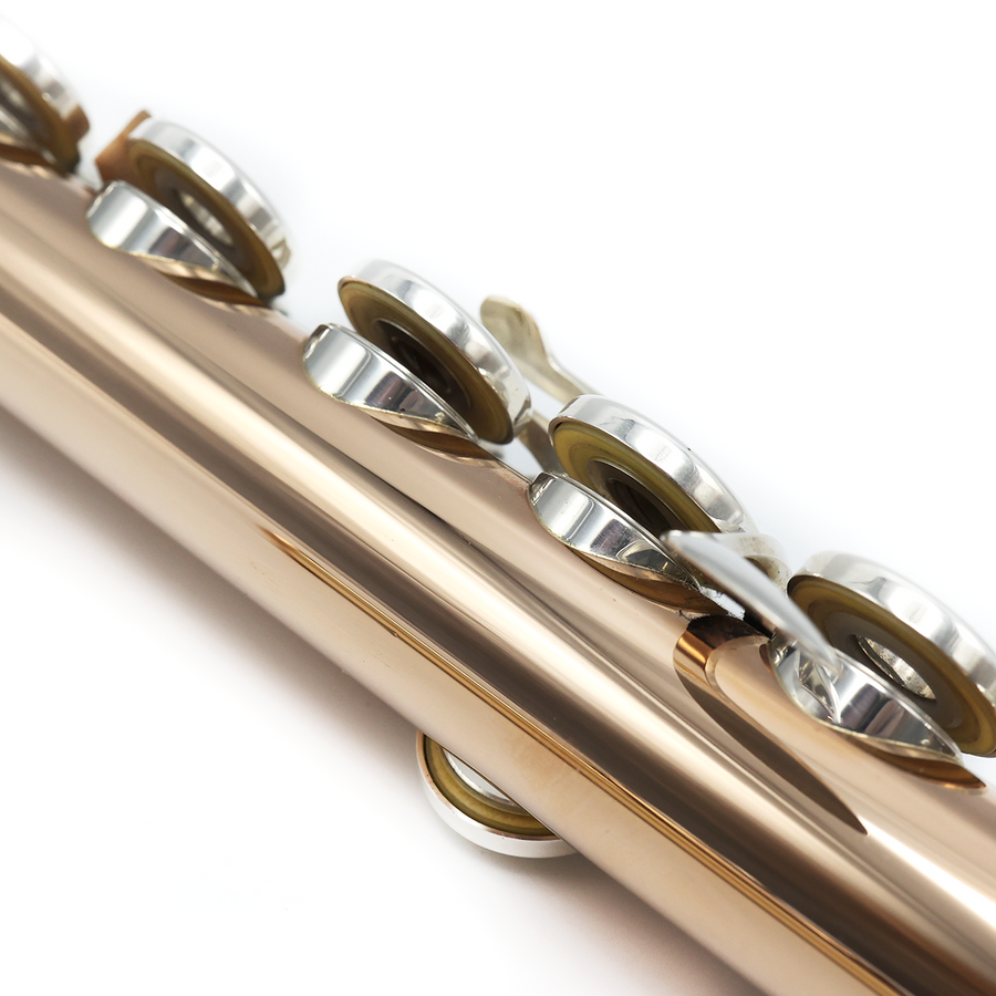 Brannen Custom #9326 - 14K Gold Flute, inline G, C# trill key, D# roller, B footjoint, Lafin 18K headjoint