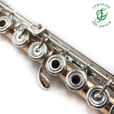 Brannen Custom #9326 - 14K Gold Flute, inline G, C# trill key, D# roller, B footjoint, Lafin 18K headjoint