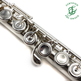 Brannen Custom #242 - Silver flute, offset G, split E mechanism, B footjoint, closed hole keys