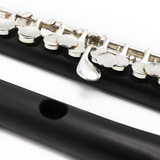 Burkart Global Piccolo #10105 - Grenadilla Wood, Split E Mechanism
