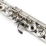 Burkart Professional Flute #10361 - Sterling Silver, Offset G, C# Trill Key, B footjoint, Sheridan Headjoint with Platinum Riser