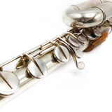 Carte Bass #8858 - Solid silver headjoint
