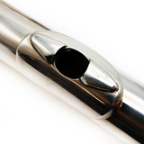 Carte Bass #8858 - Solid silver headjoint