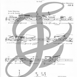 Itinerante (Flauta sola)