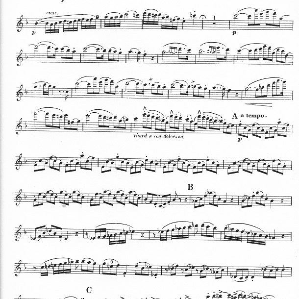 Duo Concertante, No. 2 Op. 100 (Two Flutes)