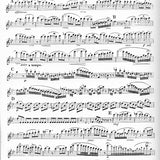 Duo Concertante, Nr. 2 op. 100 (Zwei Flöten)
