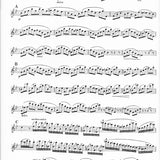Duo Concertante, Nr. 2 op. 100 (Zwei Flöten)