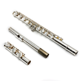 Eastman 210 #14790389 - Student Flute, offset G, C footjoint