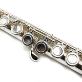 Eastman 210 #14790389 - Student Flute, offset G, C footjoint