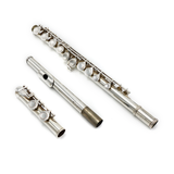 Eastman 210 #12790289 - Silver Plated, Offset G, Closed Hole Keys, C Footjoint