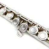 Eastman 210 #12790289 - Silver Plated, Offset G, Closed Hole Keys, C Footjoint