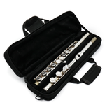 Eastman 210 #12790289 - Silver Plated, Offset G, Closed Hole Keys, C Footjoint