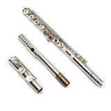 Eastman EFL220-O #8065769 - Student Flute (Demo Model)