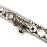 Eastman EFL220-O #8065769 - Student Flute (Demo Model)