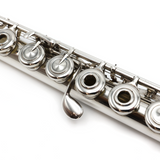 Emanuel Flute #142 - Sterling silver,  inline G, high G# mechanism, B footjoint, 14K gold lip plate and riser