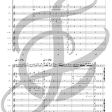 Concerto for Piccolo and Flute Choir