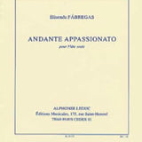 Andante appassionato (Flute solo)