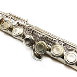 Gemeinhardt Flute Model 2SP #P95132