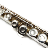Gemeinhardt 2SPCH #R73403 - Student Flute, offset G, straight and curved headjoints