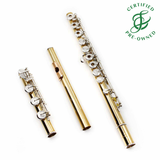 Goosman #424 - 14K Gold Flute, inline G, B footjoint, 18K gold lip plate