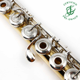 Goosman #424 - 14K Gold Flute, inline G, B footjoint, 18K gold lip plate