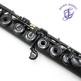 Guo Grenaditte C Flute #G02263 - Inline G, B footjoint