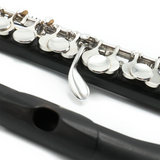 Hammig 650/2 Piccolo #28328 - Grenadilla Wood, Split E Mechanism, Modified Wave Thinned Headjoint