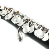 Hammig 650/2 Piccolo #28328 - Grenadilla Wood, Split E Mechanism, Modified Wave Thinned Headjoint