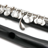 Hammig Piccolo 650/2 #29593 - Grenadilla wood, split E mechanism