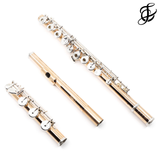 Haynes Classic Flute Q-Series Model Q-Fusion - New