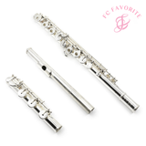 Haynes Classic Flute Q-Series Model Q3 - New