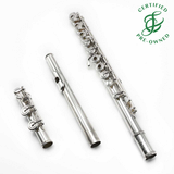 Haynes Custom #47153 - Silver flute, inline G, C footjoint