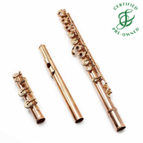 Haynes Custom #51210 - 14K Gold flute, inline G, C footjoint