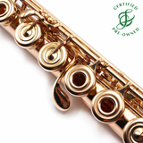 Haynes Custom #51210 - 14K Gold flute, inline G, C footjoint