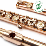 Haynes Custom #51210 - 14K Gold flute, inline G, C footjoint