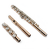 Haynes Classic Flute Q-Series Model Q 9K - New