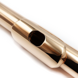 Haynes Classic Flute Q-Series Model Q 9K - New
