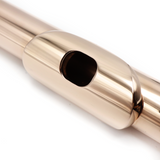 Haynes Headjoint #11388 - 10K Gold, Piedmont Cut