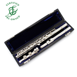 Haynes Custom #14242 - Silver flute, inline G, C footjoint