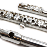 Haynes Custom #19234 - Solid silver, inline G, C footjoint
