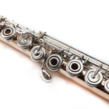Haynes Classic 14K #2254 - 14K Gold, Offset G, C# Trill Key, D# Roller, B Footjoint