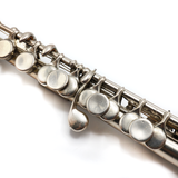 Haynes Piccolo #26845 - Solid silver
