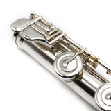 Haynes Custom Flute #26973 - Coin Silver, Inline G, B Footjoint, Gold Lip Plate and Riser